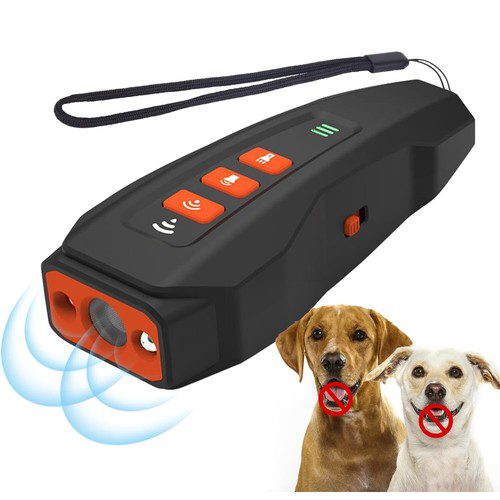 BarkWave Review