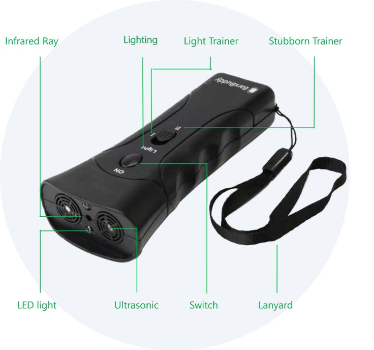 Barxbuddy Trainer Gen 2 Review3