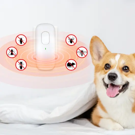 BuzzAway Ultrasonic Pest Repeller Review1