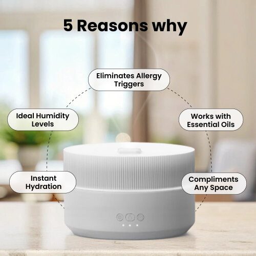 Clairu Humidifier Review