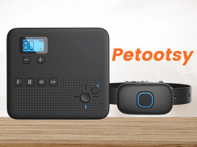 Petootsy Wireless Dog Fence Review