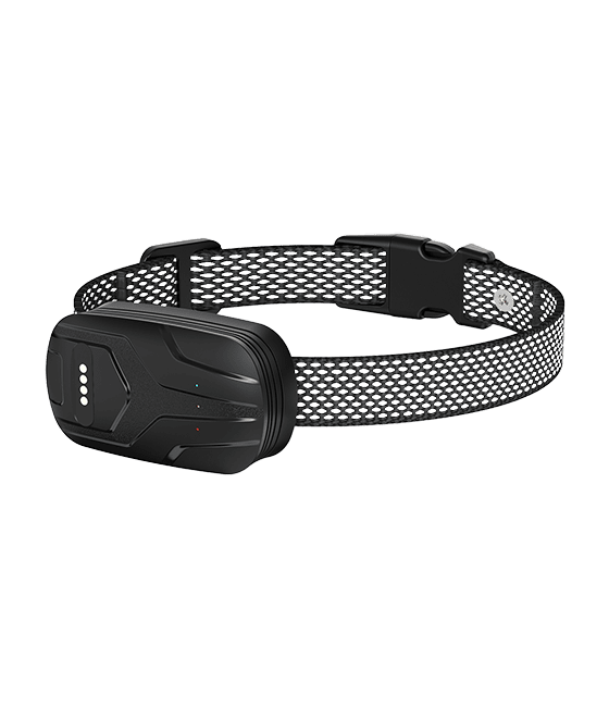 furfence dog collar review3