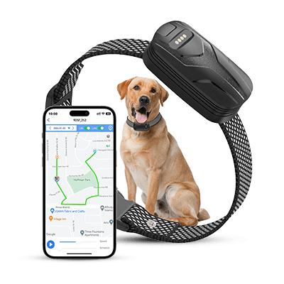 furfence dog collar review4