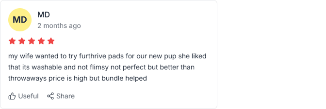 trustpilot review (10)