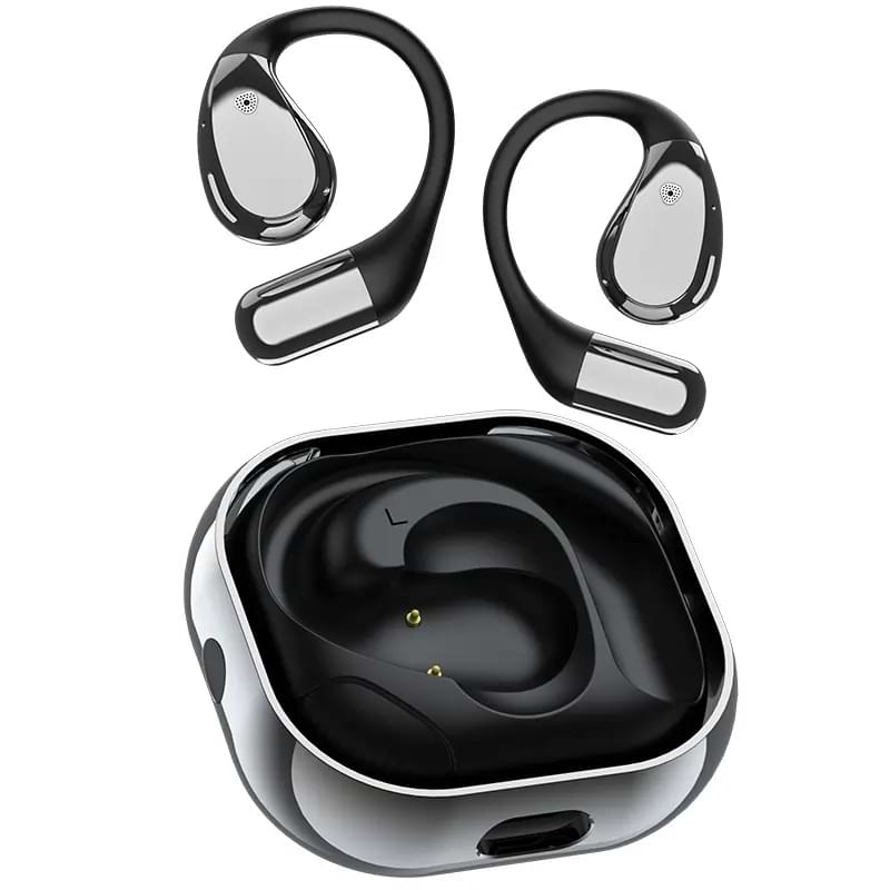 Earscribe SpeakFree Review1