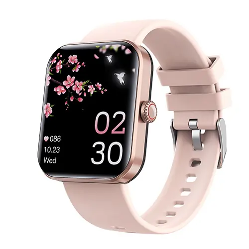 HealthWatch Pro Review2