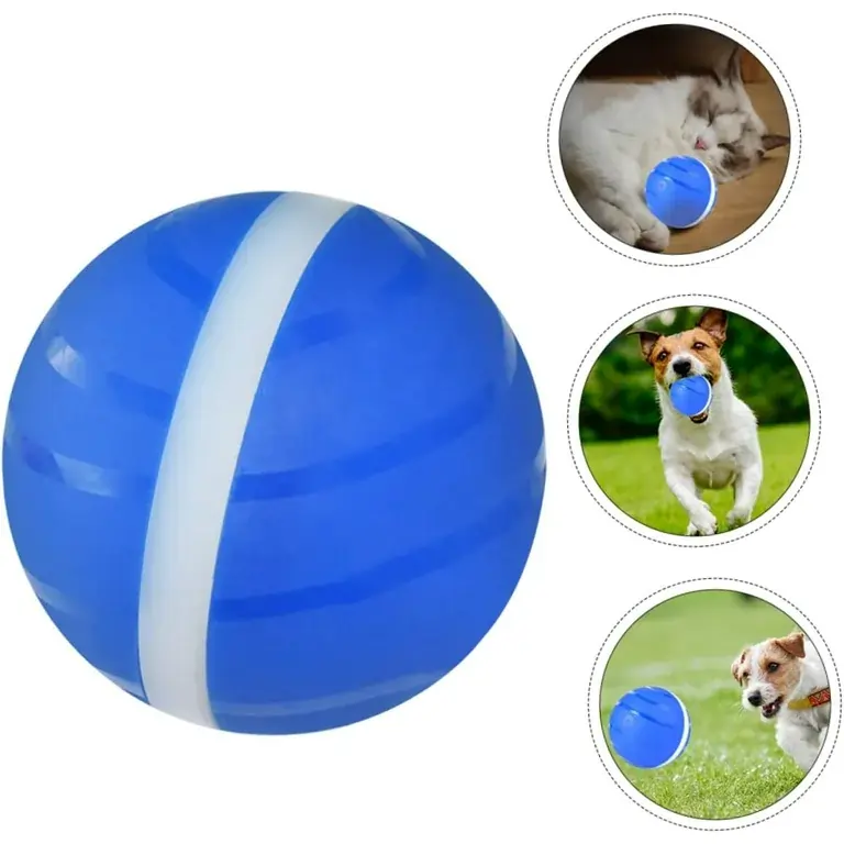 PeppyPetBall Review1