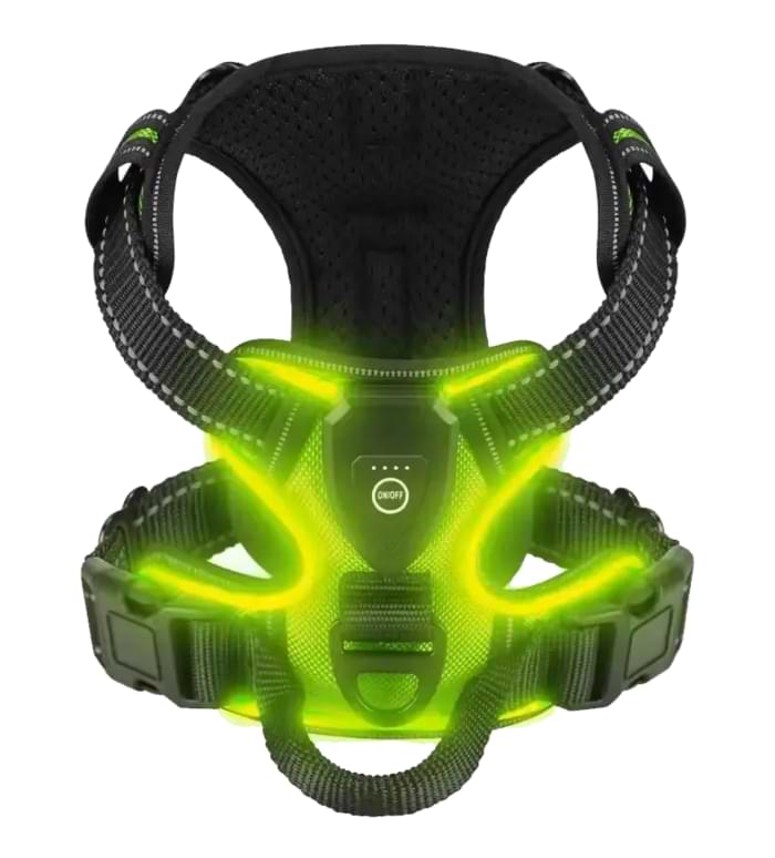 RadPaws LED Harness Review1