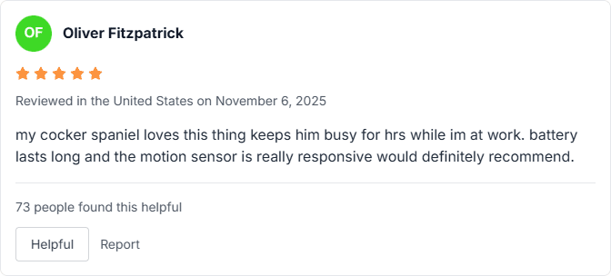 amazon review (37)