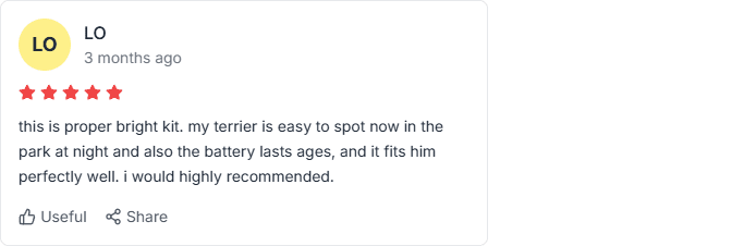 trustpilot review (2)