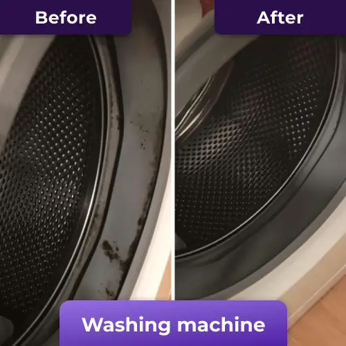 NuroClean Mold Remover Review