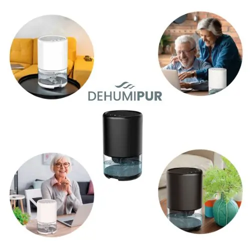 Qinux DeHumiPur Review