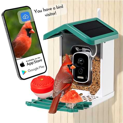 Bird Feeder Camera Reviews1
