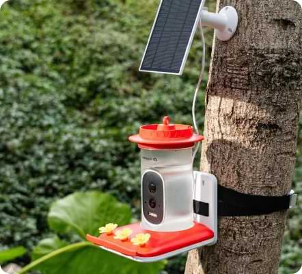 Happy Birdy HumHum Feeder Reviews1