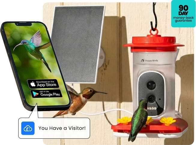 Happy Birdy HumHum Feeder Reviews2