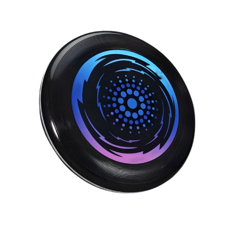 Flying Glow Disc Reviews