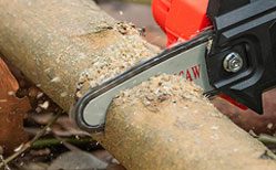 Wood Ranger Mini Chainsaw Reviews