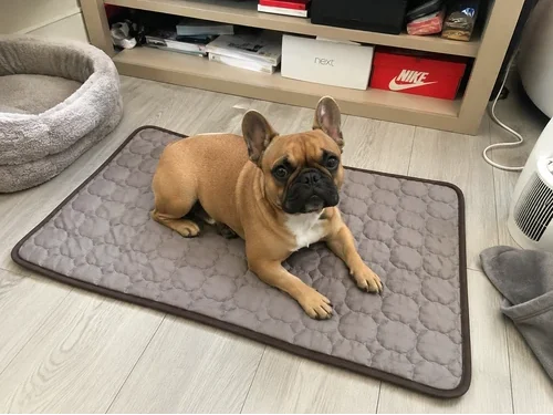 Summer Cooling Mat for Pets