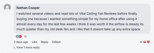 Vital Ceiling Fan Reviews 1
