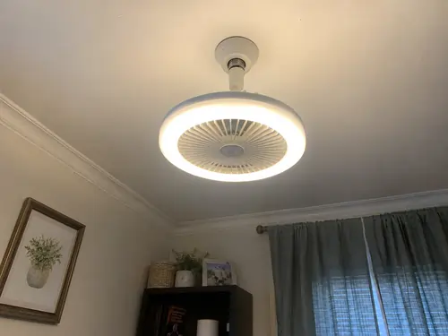 Vital Ceiling Fan Reviews